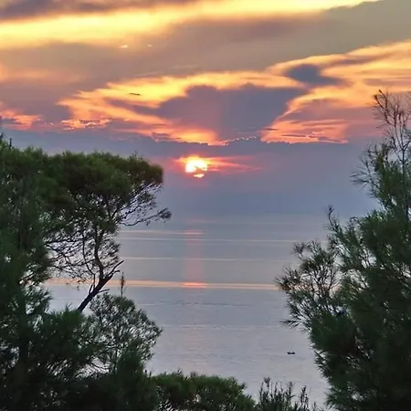 Poseidi - Olivia فيلة