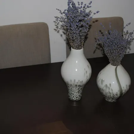 فيلة Poseidi - Olivia *